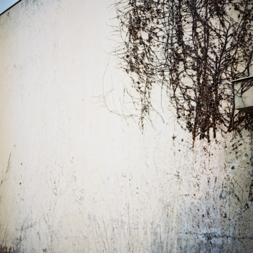 photographie | bel-air | &copy; patrice de Santa Coloma